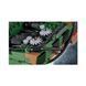 Конструктор Cobi Armed Forces Танк Leopard 2 A4, 864 детали (2618) 2618 фото 8